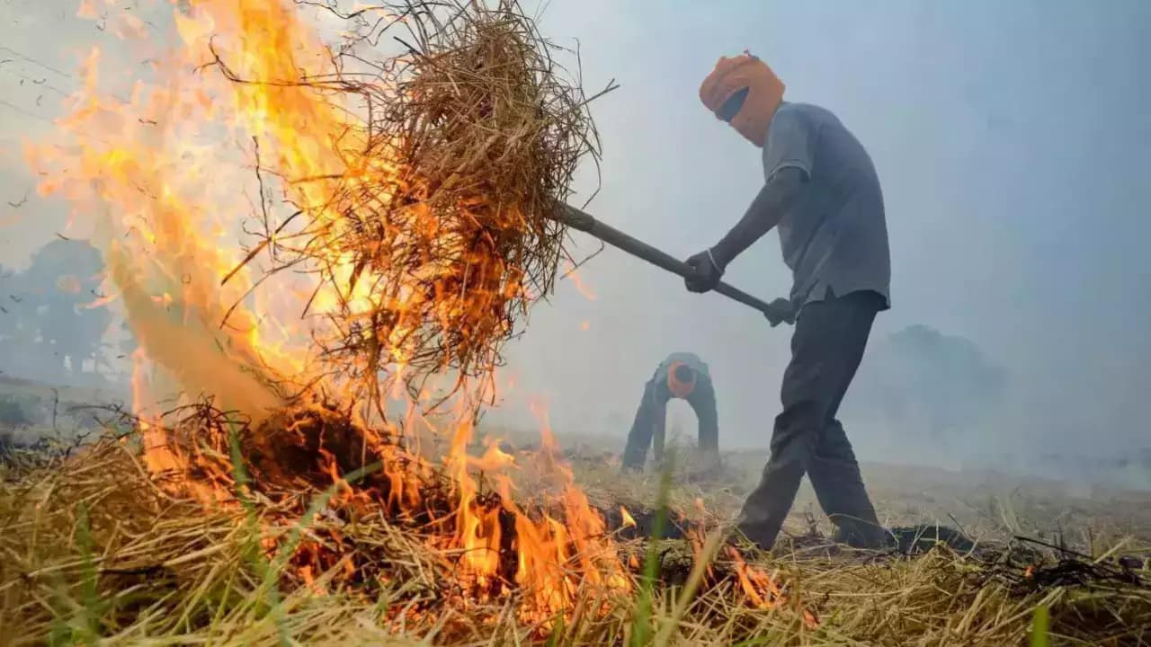 Punjab-and-Haryana -Supreme-Court -Criticizes-on-Stubble-Burning