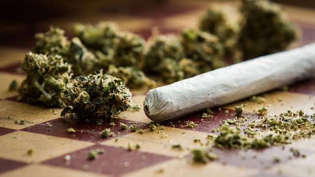 Kerala Students Busted for Ganja After Asking Narcotics Officers for a Matchbox