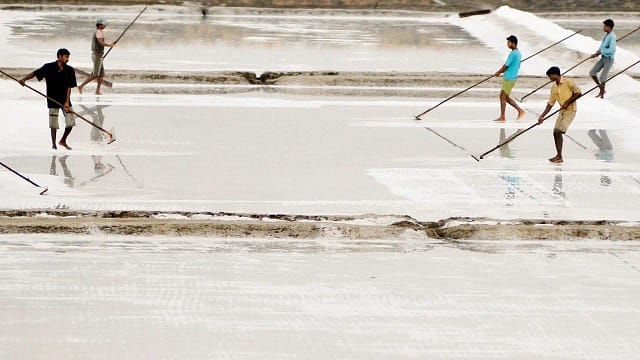 The Battle for Mumbai’s Salt Pans: Development vs. Environmental Conservation