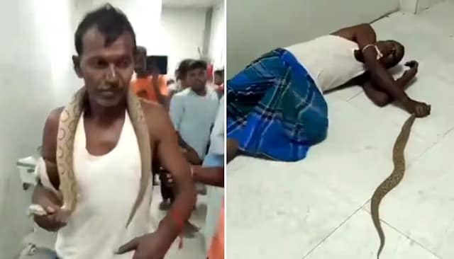Snake Charmer’s New Look? Bihar Man Walks Into Hospital With Venomous Viper Draped Like a Scarf!
